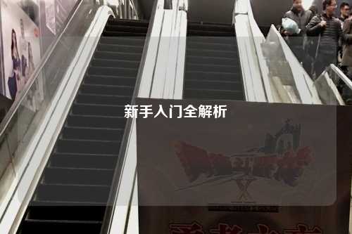 新手入门全解析