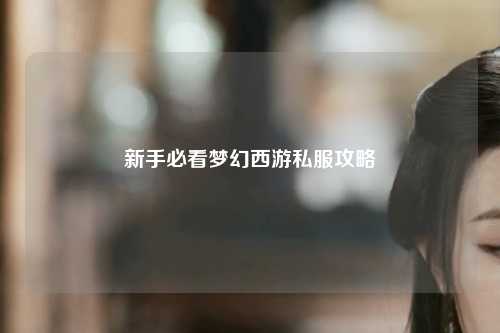 新手必看梦幻西游私服攻略