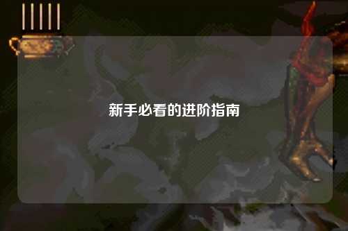 新手必看的进阶指南