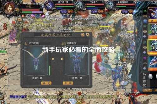 新手玩家必看的全面攻略