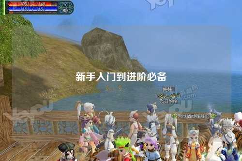 新手入门到进阶必备