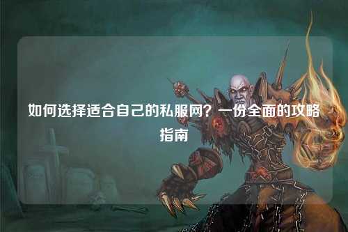 如何选择适合自己的私服网？一份全面的攻略指南
