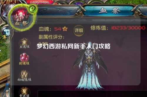 梦幻西游私网新手入门攻略