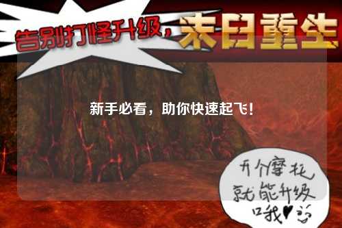 新手必看，助你快速起飞！