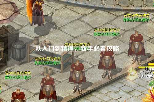 从入门到精通，新手必看攻略