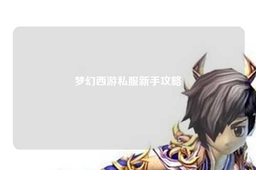 梦幻西游私服新手攻略