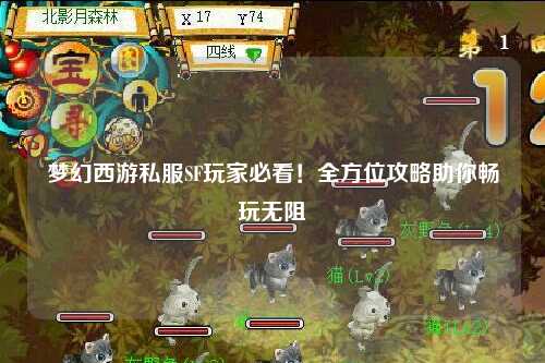 梦幻西游私服SF玩家必看!全方位攻略助你畅玩无阻