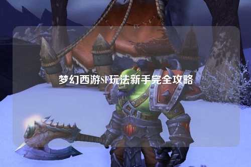 梦幻西游SF玩法新手完全攻略