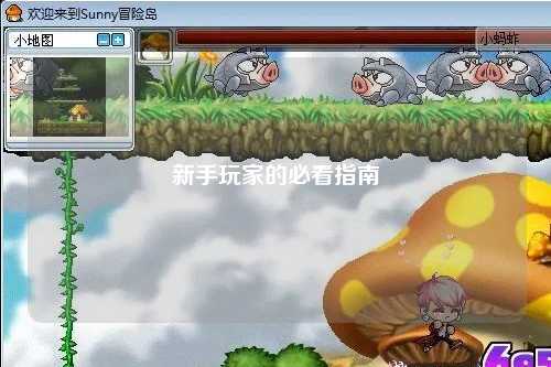 新手玩家的必看指南