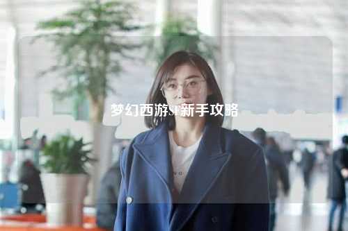 梦幻西游SF新手攻略