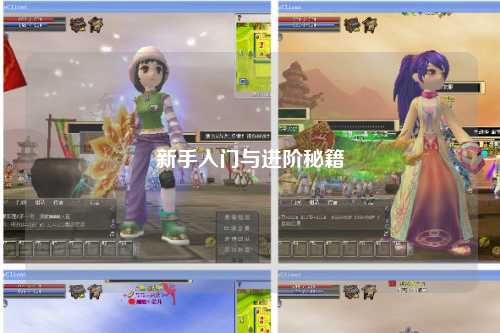 新手入门与进阶秘籍