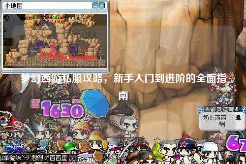 梦幻西游私服攻略，新手入门到进阶的全面指南