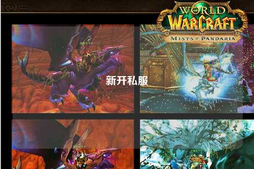 新开私服