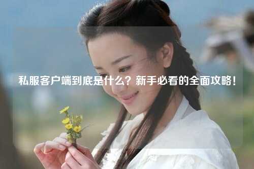 私服客户端到底是什么？新手必看的全面攻略！