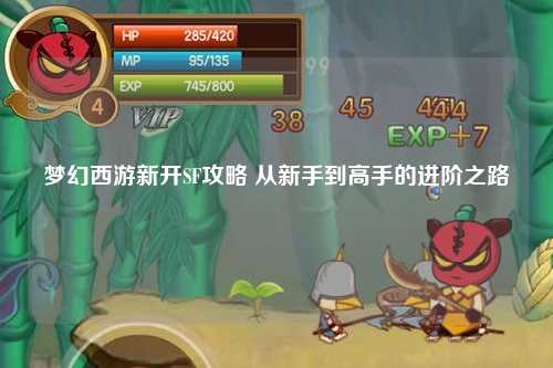 梦幻西游新开SF攻略 从新手到高手的进阶之路